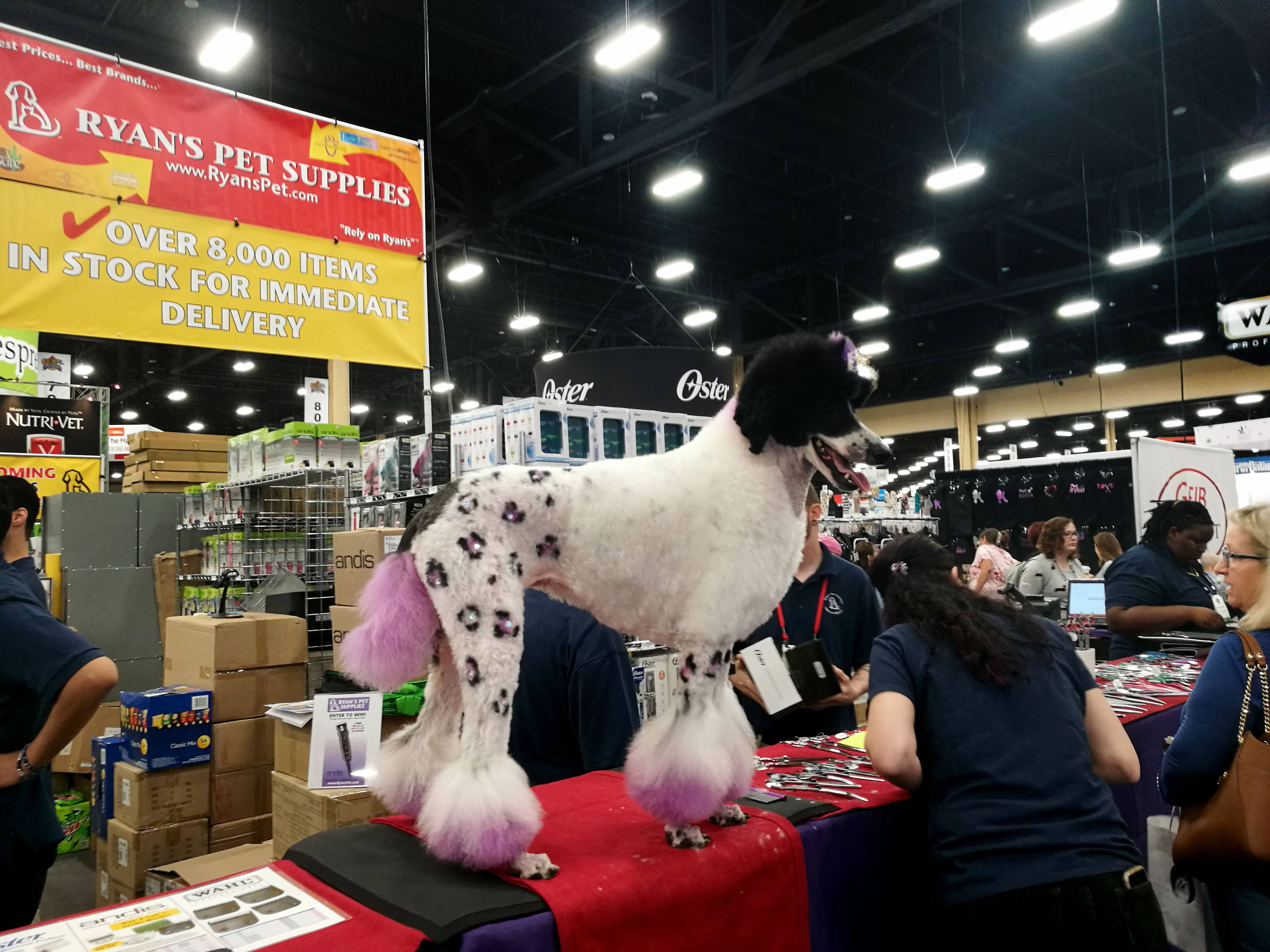 XCHO at Superzoo in Las vegas   